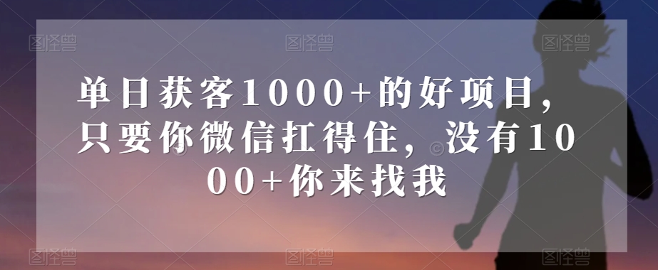 单日获客1000+的好项目，只要你微信扛得住，没有1000+你来找我【揭秘】-启航188资源站