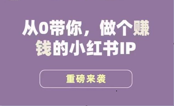 小红书运营大宝典，从0带你做个赚钱的小红书IP-启航188资源站