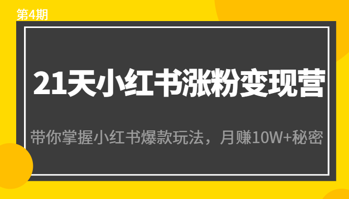 21天小红书涨粉变现营（第4期）：带你掌握小红书爆款玩法，月赚10W+秘密-启航188资源站