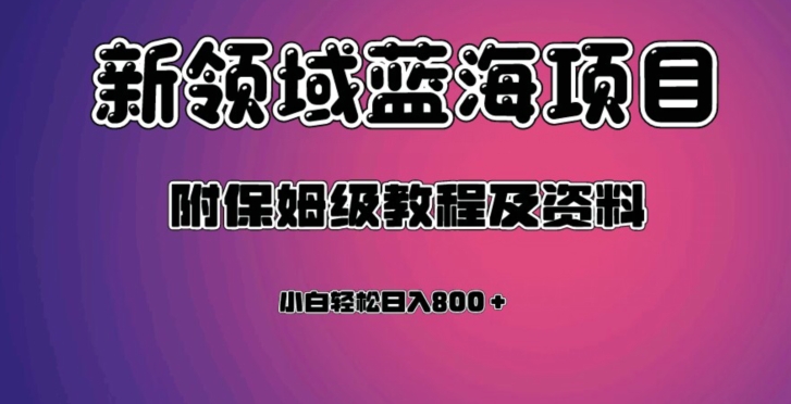 虚拟资源蓝海领域新项目，轻松日入800＋，附保姆级教程及资料-启航188资源站