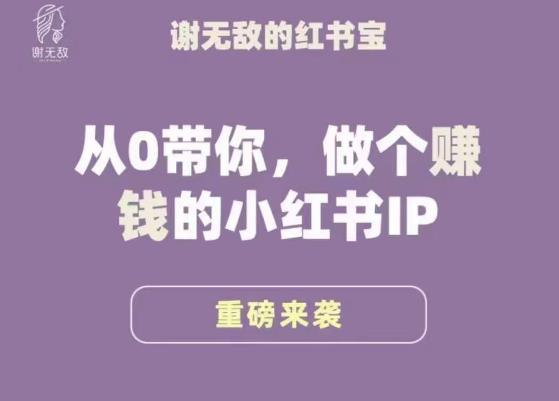 谢无敌·小红书运营大宝典，从0带你做个赚钱的小红书IP-启航188资源站