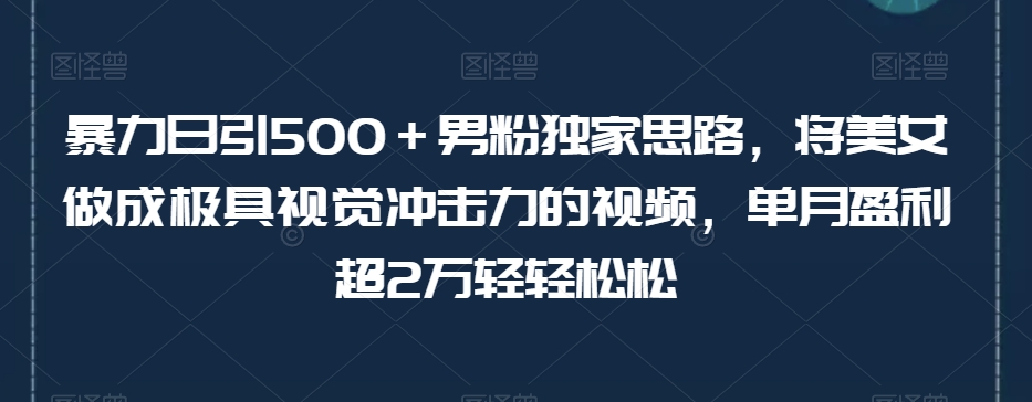 暴力日引500＋男粉独家思路，将美女做成极具视觉冲击力的视频，单月盈利超2万轻轻松松-启航188资源站