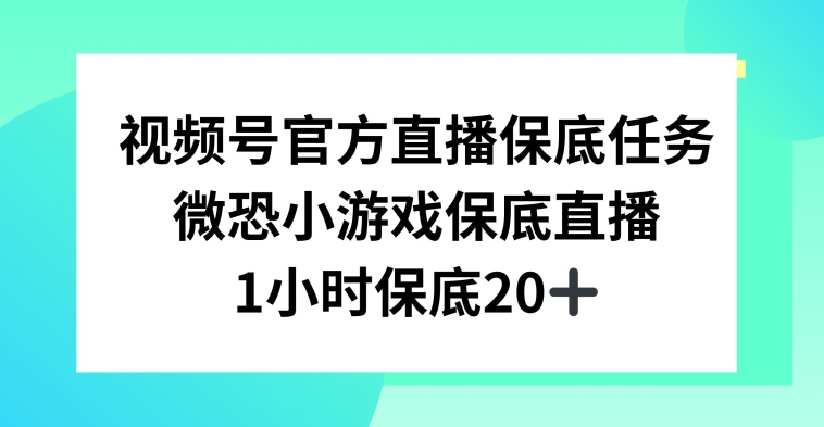 视频号直播任务，微恐小游戏，1小时20+-启航188资源站