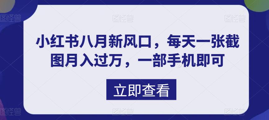 （6851期）八月新风口，小红书虚拟项目一天收入1000+，实战揭秘-启航188资源站