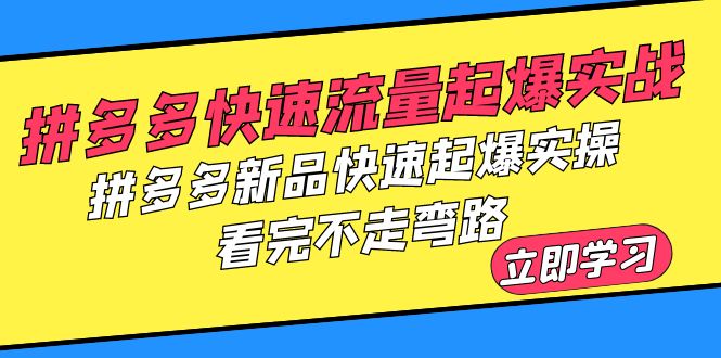 （6253期）拼多多-快速流量起爆实战，拼多多新品快速起爆实操，看完不走弯路-启航188资源站