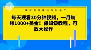 每天观看30分钟视频，一月躺赚1000+美金！保姆级教程，可放大操作【揭秘】-启航188资源站