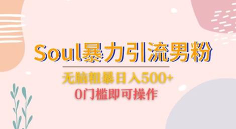 Soul暴力引流男粉玩法，无脑粗暴日入500＋，0门槛即可操作【揭秘】-启航188资源站