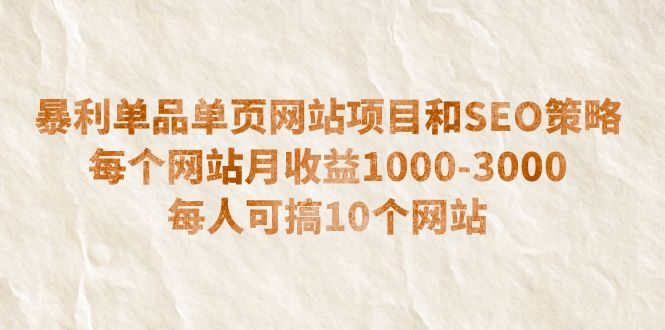 （6503期）暴利单品单页网站项目和SEO策略  每个网站月收益1000-3000  每人可搞10个-启航188资源站