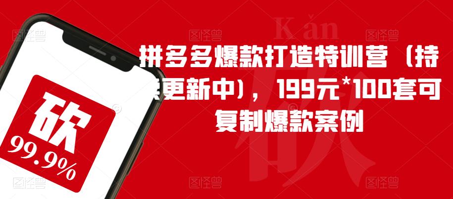 拼多多爆款打造特训营（持续更新中)，199元*100套可复制爆款案例-启航188资源站