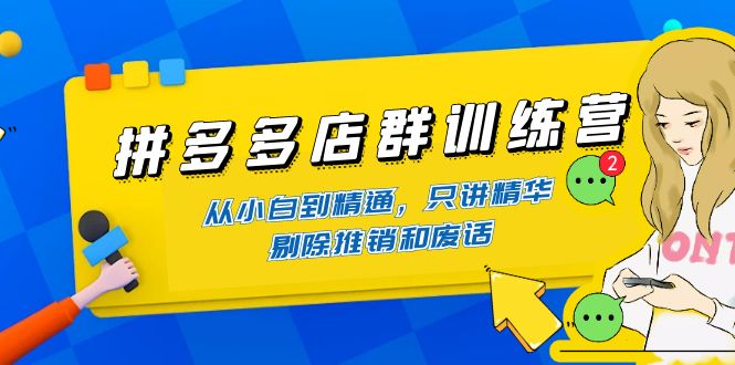 （4318期）拼多多店群训练营：从小白到精通，只讲精华，剔除推销和废话-启航188资源站