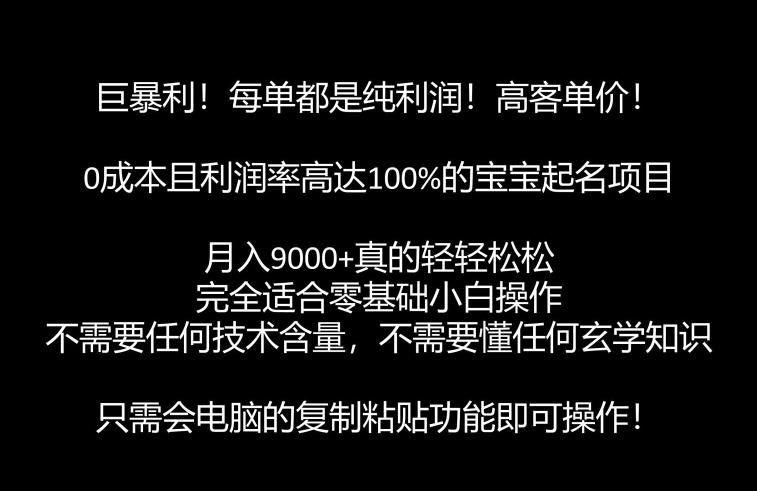 巨暴利，月入9000+的宝宝起名项目，每单都是纯利润，零基础都能躺赚【附软件+视频教程】-启航188资源站