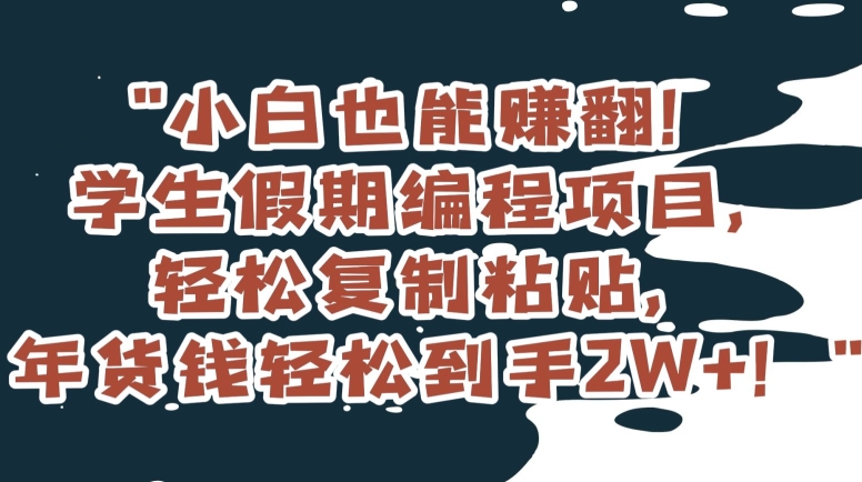 小白也能赚翻！学生假期编程项目，轻松复制粘贴，年货钱轻松到手2W+【揭秘】-启航188资源站