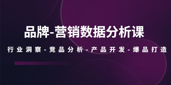 （5565期）品牌-营销数据分析课，行业洞察-竞品分析-产品开发-爆品打造-启航188资源站