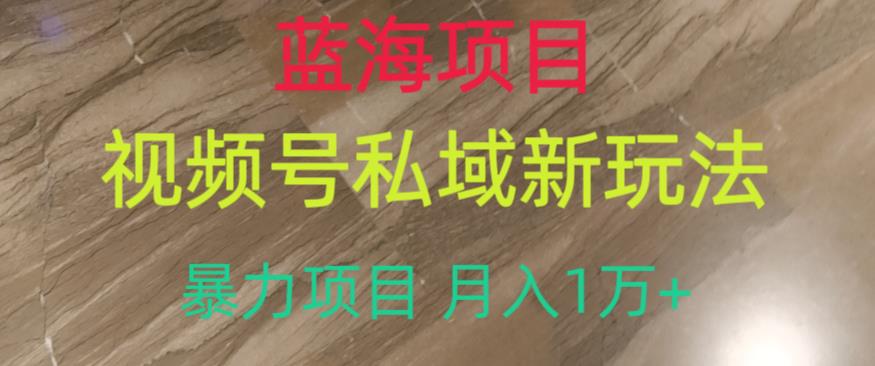 蓝海项目，视频号私域新玩法，暴力项目月入1万+【揭秘】-启航188资源站