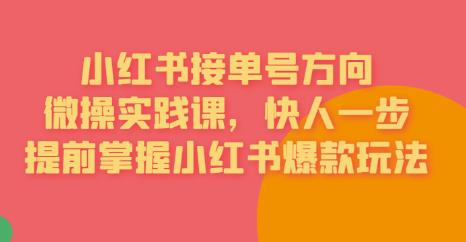 接单号方向·小红书微操实践课，快人一步，提前掌握小红书爆款玩法-启航188资源站