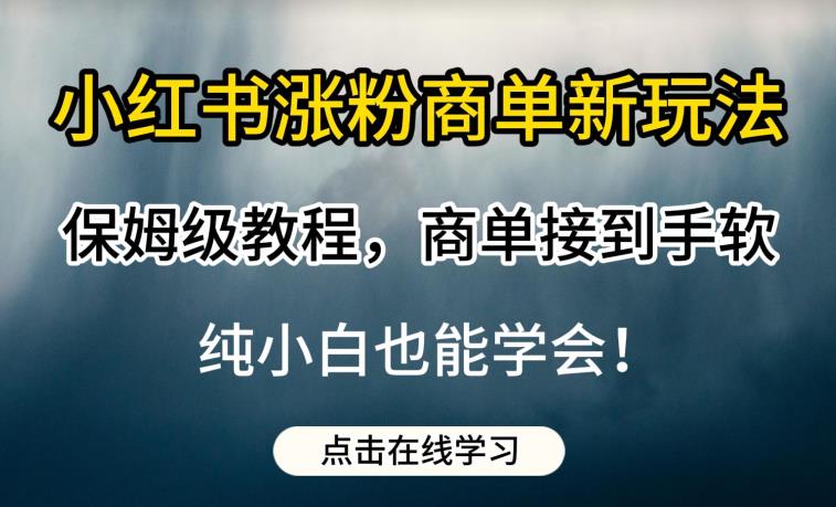 小红书涨粉商单新玩法，保姆级教程，商单接到手软，纯小白也能学会【揭秘】-启航188资源站