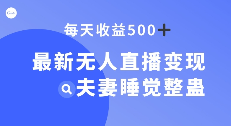 最新无人直播变现，夫妻睡觉整蛊，每天躺赚500+【揭秘】-启航188资源站