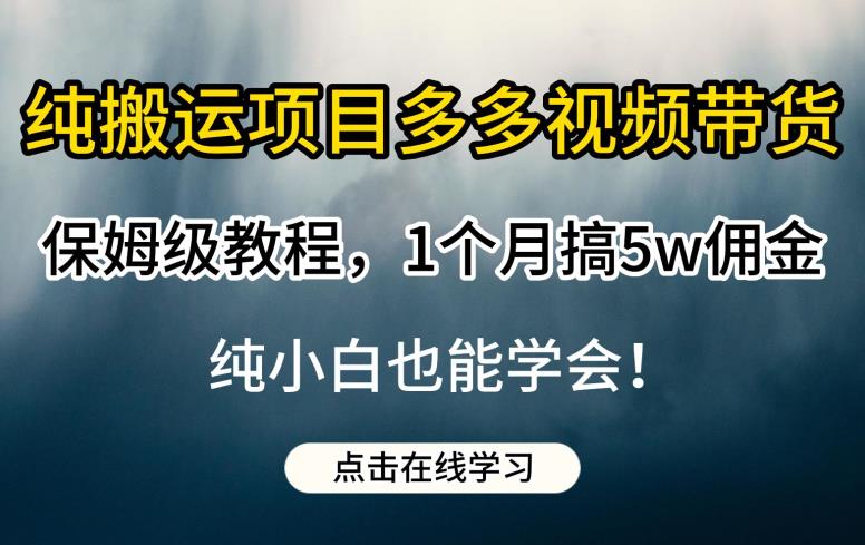 纯搬运项目多多视频带货保姆级教程，1个月搞5w佣金，纯小白也能学会【揭秘】-启航188资源站