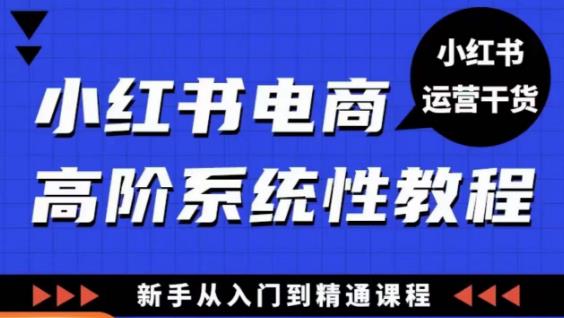 小红书电商高阶系统教程，新手从入门到精通系统课-启航188资源站