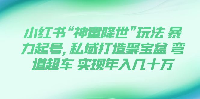 （7673期）小红书“神童降世”玩法 暴力起号,私域打造聚宝盆 弯道超车 实现年入几十万-启航188资源站