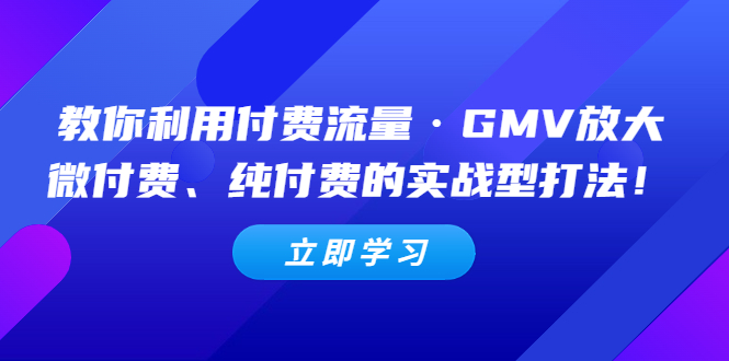 （5106期）教你利用付费流量·GMV放大，微付费、纯付费的实战型打法！-启航188资源站