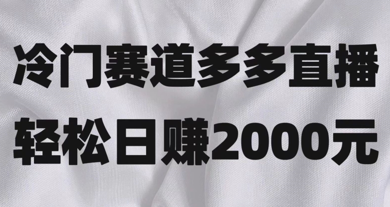 冷门赛道拼多多直播，简单念稿子，日收益2000＋【揭秘】-启航188资源站