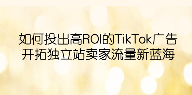 （6102期）如何投出高ROI·TikTok广告，开拓独立站卖家流量新蓝海-启航188资源站