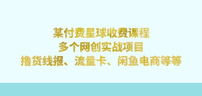 某付费星球课程：多个网创实战项目，撸货线报、流量卡、闲鱼电商等（文档非视频）-启航188资源站