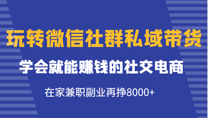 玩转微信社群私域带货，学会就能赚钱的社交电商，在家兼职副业再挣8000+-启航188资源站