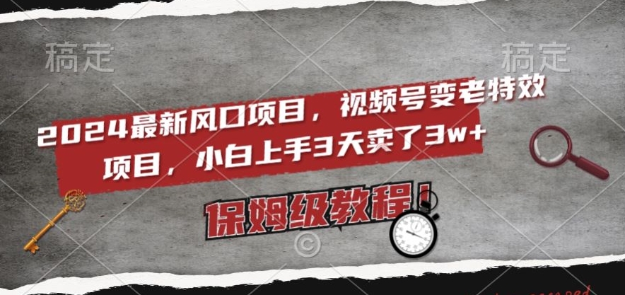 2024最新风口项目，视频号变老特效项目，电脑小白上手3天卖了3w+，保姆级教程【揭秘】-启航188资源站