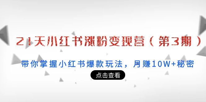 21天小红书涨粉变现营（第3期）：带你掌握小红书爆款玩法，月赚10W+秘密-启航188资源站