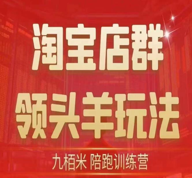 九栢米-淘宝店群领头羊玩法，教你整个淘宝店群领头羊玩法以及精细化/终极蓝海/尾销等内容-启航188资源站