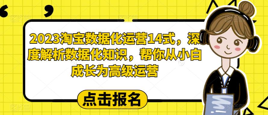 2023淘宝数据化运营14式，深度解析数据化知识，帮你从小白成长为高级运营-启航188资源站