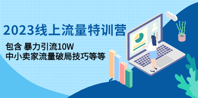 （4567期）2023线上流量特训营：包含暴力引流10W+中小卖家流量破局技巧等等-启航188资源站