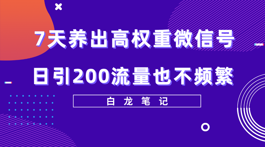 （5630期）7天养出高权重微信号，日引200流量也不频繁，方法价值3680元-启航188资源站