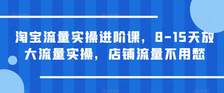 淘宝流量实操进阶课，8-15天放大流量实操，店铺流量不用愁-启航188资源站