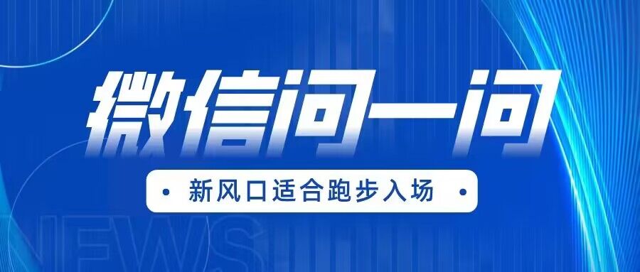 全网首发微信问一问新风口变现项目（价值1999元）-启航188资源站