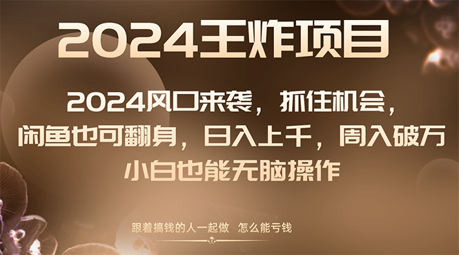 （8401期）2024风口项目来袭，抓住机会，闲鱼也可翻身，日入上千，周入破万，小白…-启航188资源站