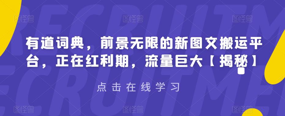 有道词典，前景无限的新图文搬运平台，正在红利期，流量巨大【揭秘】-启航188资源站