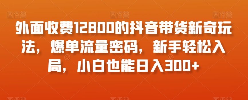 外面收费12800的抖音带货新奇玩法，爆单流量密码，新手轻松入局，小白也能日入300+【揭秘】-启航188资源站