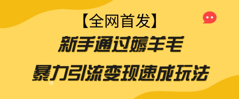 【全网首发】新手通过薅羊毛暴力引流变现速成玩法-启航188资源站