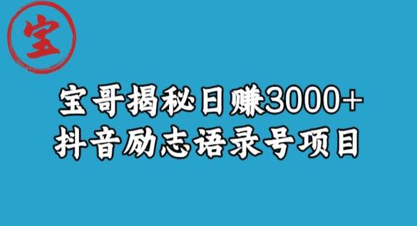 宝哥揭秘日赚3000+抖音励志语录号短视频变现项目-启航188资源站