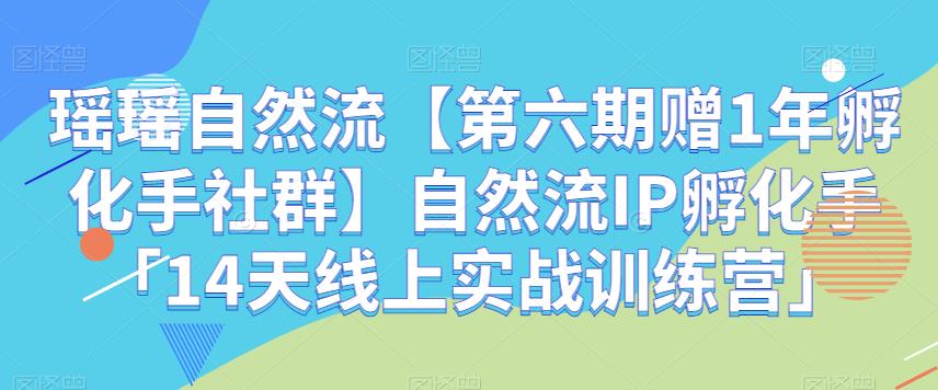 瑶瑶自然流【第六期赠1年孵化手社群】自然流IP孵化手「14天线上实战训练营」-启航188资源站