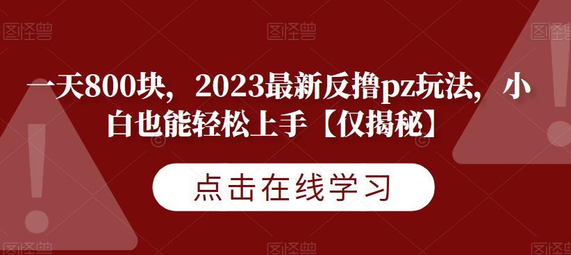 一天800块，2023最新反撸pz玩法，小白也能轻松上手【仅揭秘】-启航188资源站