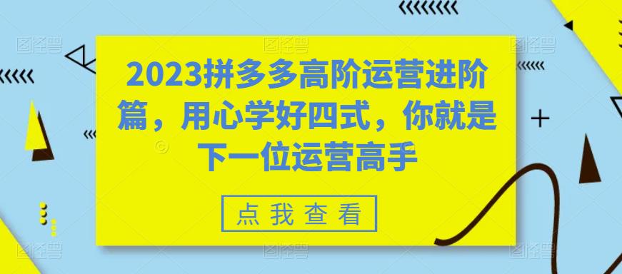 （6193期）2023拼多多高阶运营进阶篇，用心学好四式，你就是下一位运营高手-启航188资源站