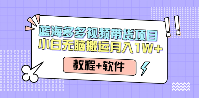 （4343期）人人都能操作的蓝海多多视频带货项目 小白无脑搬运月入10000+（教程+软件）-启航188资源站