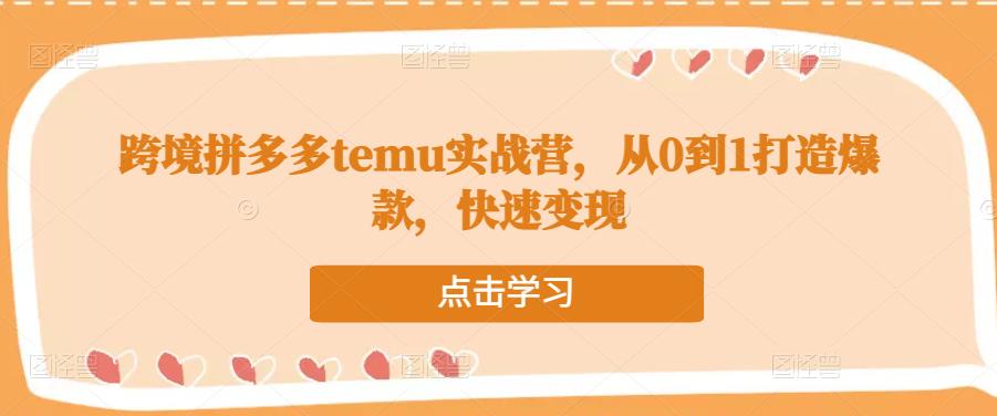 跨境拼多多temu实战营，从0到1打造爆款，快速变现-启航188资源站