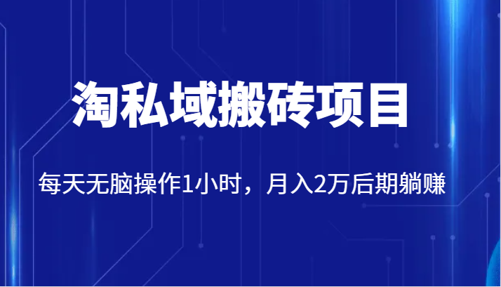 价值2980的淘私域搬砖项目，每天无脑操作1小时，月入2万后期躺赚-启航188资源站