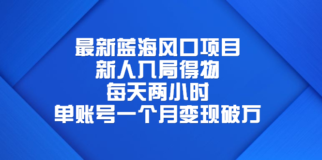 （6514期）最新蓝海风口项目，新人入局得物，每天两小时，单账号一个月变现破万-启航188资源站