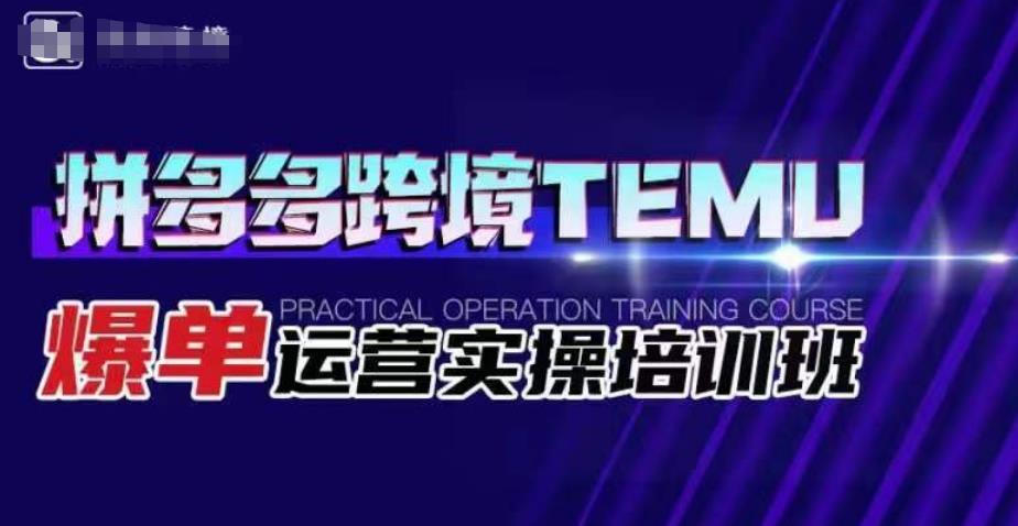 拼多多跨境TEMU爆单运营实操培训班，海外拼多多的选品、运营、爆单-启航188资源站